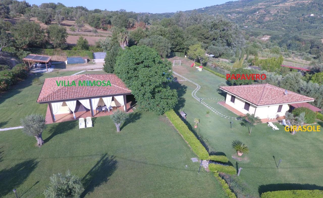 Villa Mimosa Tropea Ricadi Exterior foto